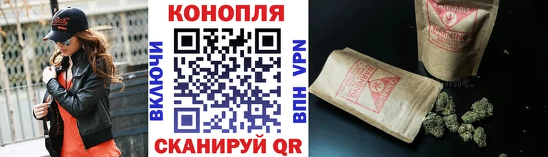 Галлюциногенные грибы Волчанск
