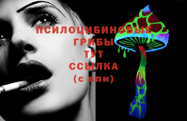тгк Беломорск