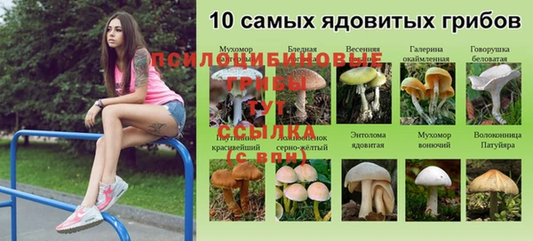 тгк Беломорск